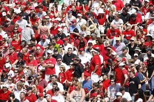 LEYU乐鱼体育官方网站-高校体育赛事观众体验提升策略研究，体育赛事审美体验