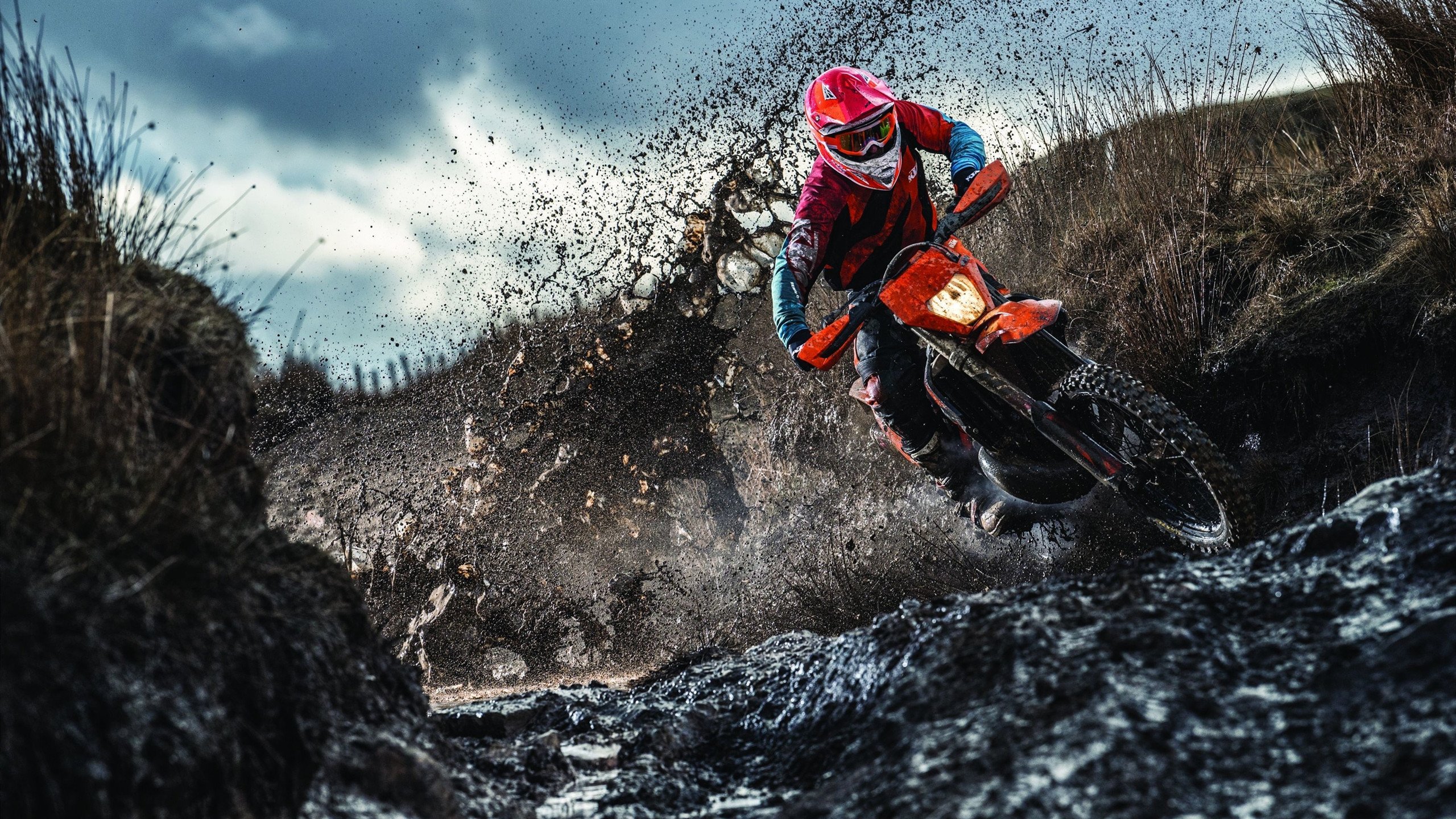 乐鱼（LEYU）体育-体育新闻中心发布体育短视频传播趋势白皮书，如何创新体育短视频