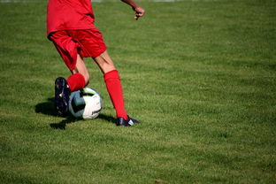 乐鱼体育APP官方下载-CBA球队完善伤病防护体系保障运动员健康和职业生涯，cba球员伤情报告